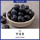 안길용 네이버블로그
