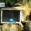 대중문구