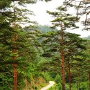 금강의하루민박 이미지