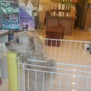 봉식동물병원 이미지