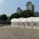 댄스스포츠(초급) | [운동일지] 2025 제2회 쉬엄쉬엄 한강3종 축제 초급2 참가 후기