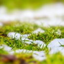 봄정형외과의원 이미지