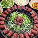 힐링퍼피 이미지