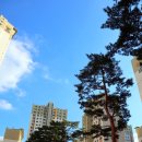 구월4동-12 이미지