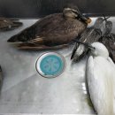 한마음동물병원 이미지