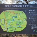 태학산자연휴양림 잔디광장 이미지