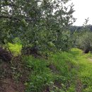 인우농장 이미지