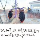 시골편지 이미지