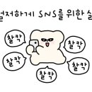 재이라이팅 이미지