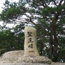 문의IC(상주)
