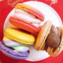 롤링팝 카페 이미지