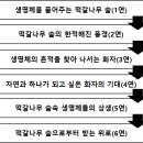 가을 떡갈나무 숲 - 이준관 , 해석 / 해설 / 정리 / 분석 이미지