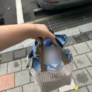 신당경로당 | 사회복지실습.. 기록용 (실습도 결국 미화된다)