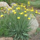 농업회사법인 주식회사 양지 이미지