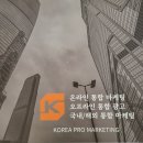 하우치코리아자영(주) | 군산 익산 온라인광고 마케팅 결과 보고 쓰는 후기