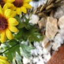 몸사랑마음사랑한의원 이미지