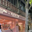 오시아 | 상하이 생일 타오시아핸드크림 잘못사버린..ㅋ 후기