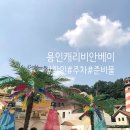주말놀거리:: 캐리비안베이 할인 &amp;주차 이용방법 및 풀파티 라인업