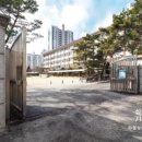 파크타운.양지마을 | 수내동 인기 아파트 3곳 비교! 양지마을·파크타운·푸른마을 분석