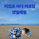 태안안면도 아이랑키즈 독채 오션뷰 풀빌라 | 태안 키즈 풀빌라 &#39;태안 안면도 아이랑 키즈 독채 오션뷰 풀빌라&#39; 추천합니다