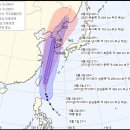 링링(LING LING) 이미지