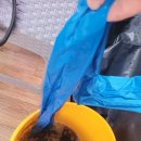 안강지역아동센터 이미지