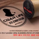 시가라이프전자담배송도글캠점