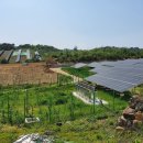 숲 태양광발전소 이미지