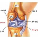 전스짐&티케필라테스 네이버블로그