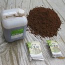 송탄중학교 이미지