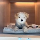 옐레드 송파헬리오시티점 이미지