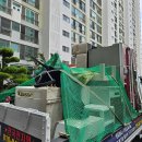 별빛콜수거 이미지
