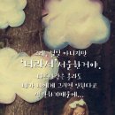 푸시케