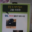 주정차-42 이미지