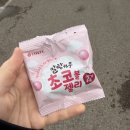 [호주 워홀 준비] 바리스타쿠 찐 만족 후기!!