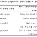 쁘라나 쁘라띠야하라 수련법﻿ 이미지