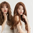 리시오 이미지