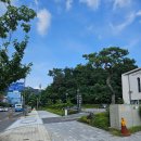 사림동203 이미지