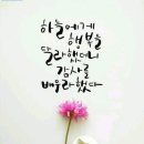 바른먹거리학교 네이버블로그