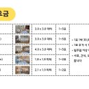 노라조 야옹아 네이버블로그