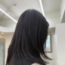 살롱드봄 이미지