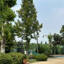 신트리공원 축구장 이미지