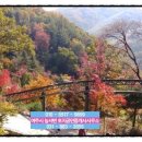 화담공인중개사사무소 이미지