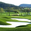 함평엘리체CC 이미지