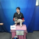 청주프로펫평생교육원