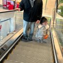 (유)보미 이미지