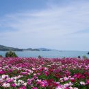 나로국밥