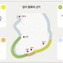 장어랑곰장어나라
