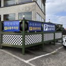 바닷가 산책 | [제주 반려견동반] 수선화식당 협재본점 | 흑돼지돈가스 먹고 바닷가 산책까지(내돈내산후기)