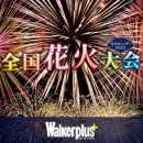 불꽃마차 이미지